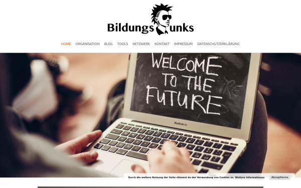 bildungspunks.de