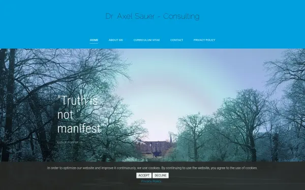 drsauerconsulting.de