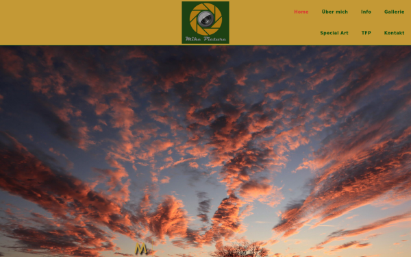 www.mike-picture.at