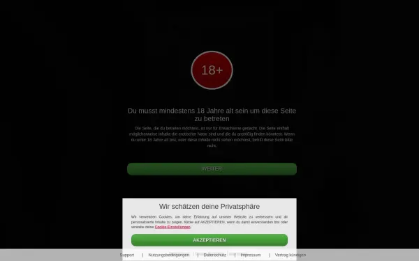 www.ao-ficken.de