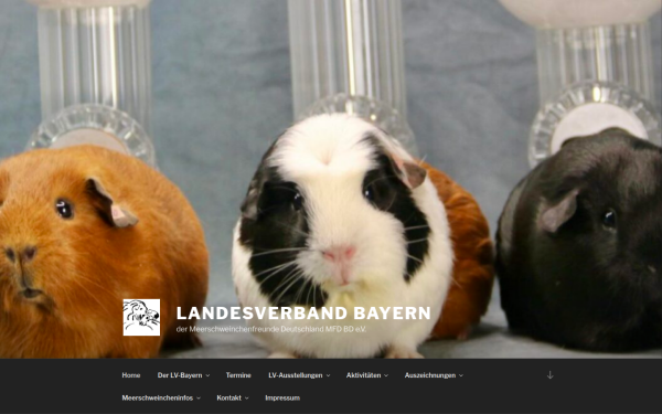 mfd-lv-bayern.de