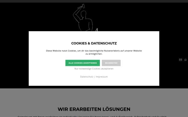 in-stein.de