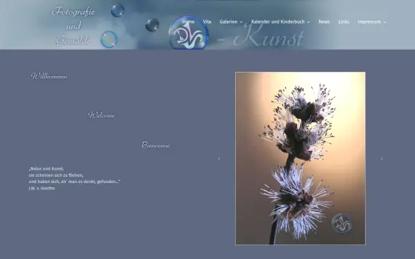 www.dls-kunst.de