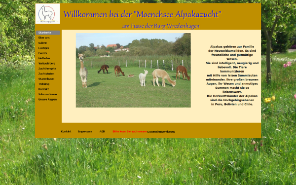 moenchsee-alpakazucht.de