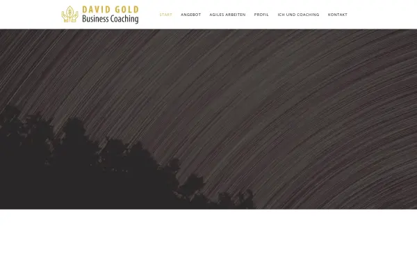 gold-coaching.de