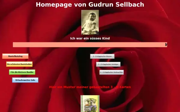 gudrun-sellbach.de