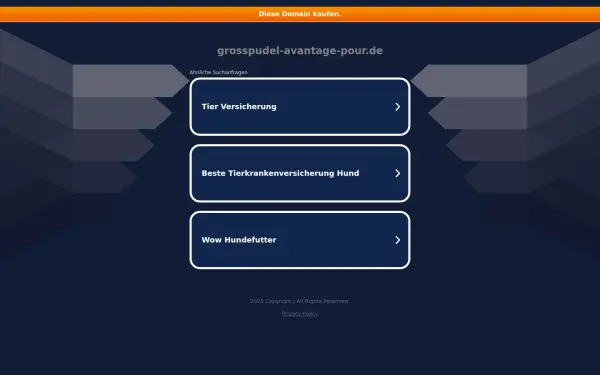 grosspudel-avantage-pour.de