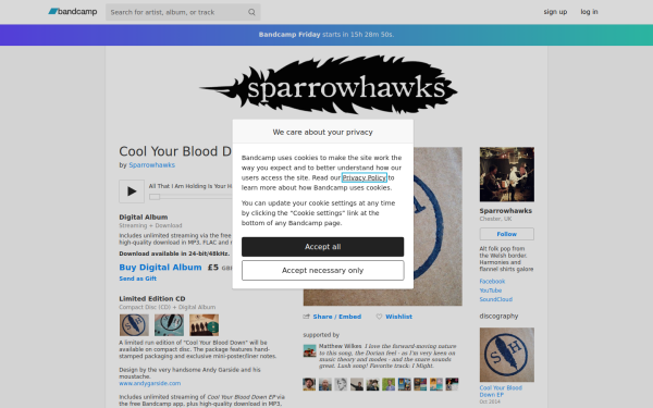 sparrowhawks.bandcamp.com
