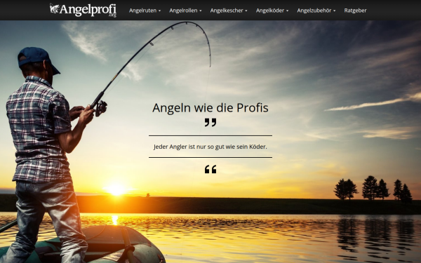 angelprofi.org