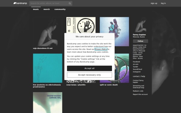 nofannykaplan.bandcamp.com