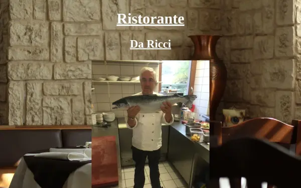 daricci.de