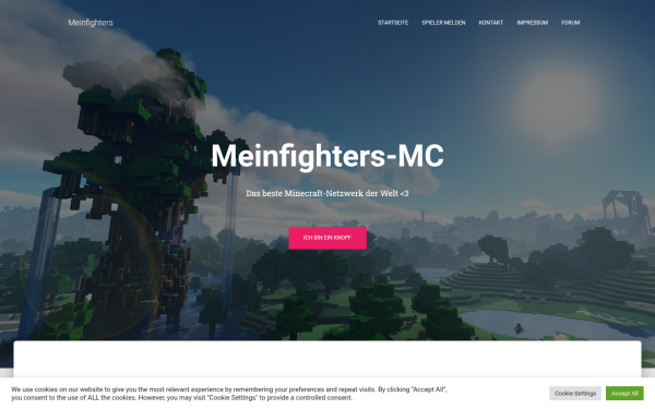 www.meinfighters.de