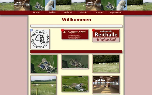 alnajma.de