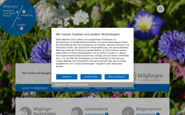 www.moeglingen.de