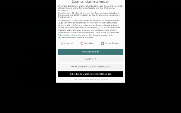 www.mitsegeln-saarow.de