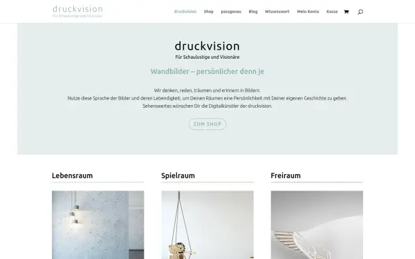 druckvision.de