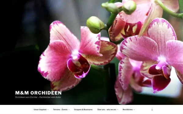 m-m-orchid.com