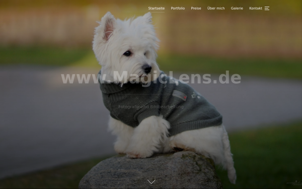 magiclens.de