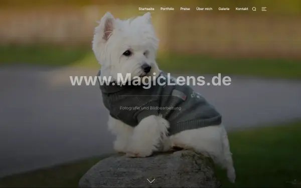 magiclens.de