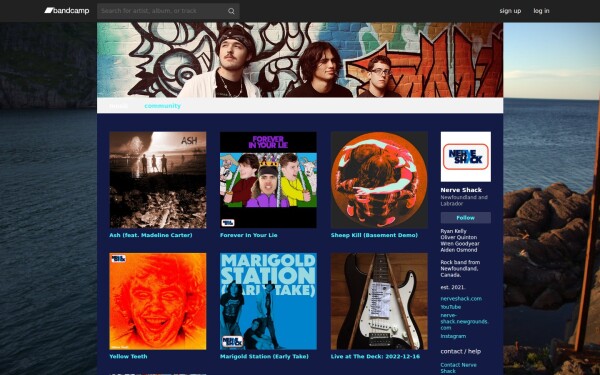 nerveshack.bandcamp.com