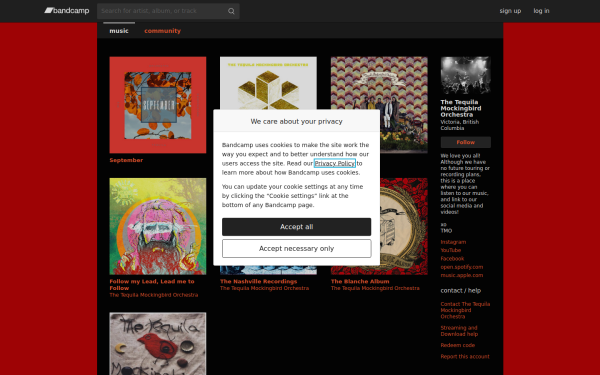 thetequilamockingbirdorchestra.com