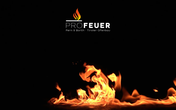 www.profeuer.at