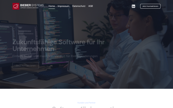 bieber-systems.com