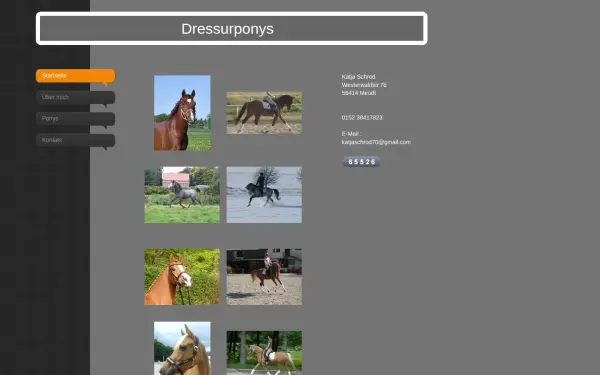 www.dressurponys.de