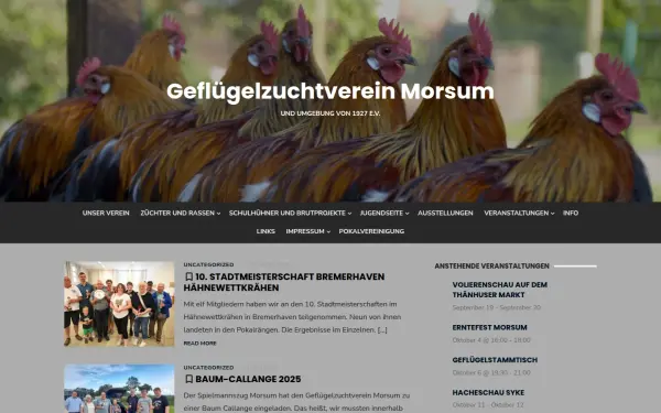 gzv-morsum.de