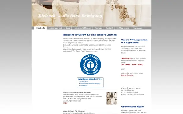www.diefeinereinigung.de