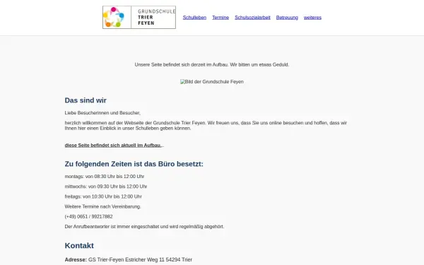 gs-trier-feyen.de