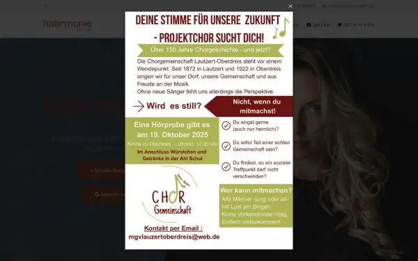 haarmonie-selters.de