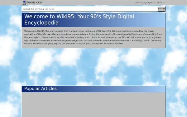 wiki95.com