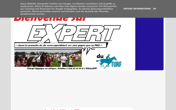 www.expertduturf.net