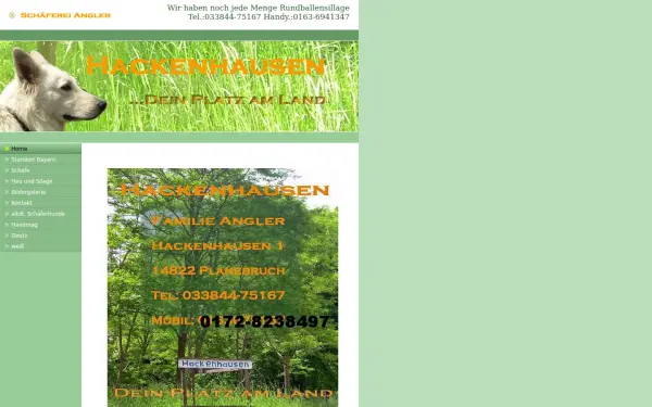 hackenhausen.de