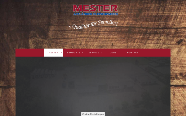 mester-gmbh.de