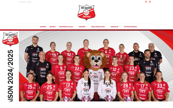 www.bsvzwickau.de