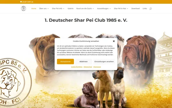 1-dspc.de