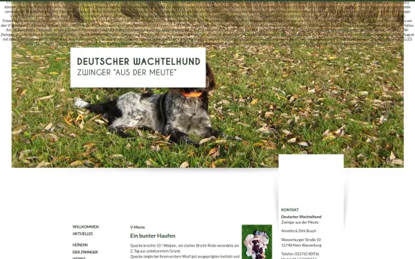 www.ausdermeute.de