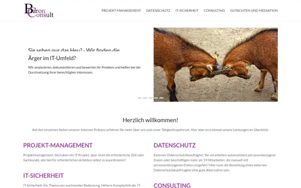 baron-consult.de