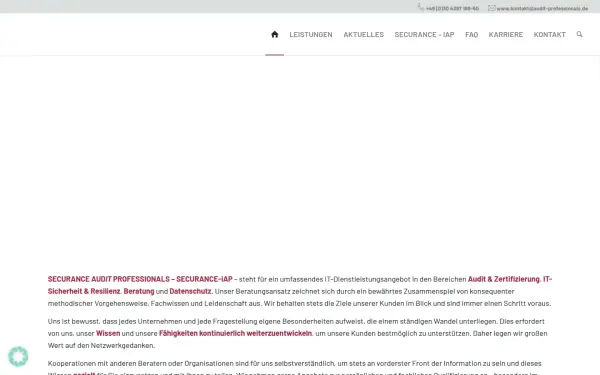 audit-professionals.de