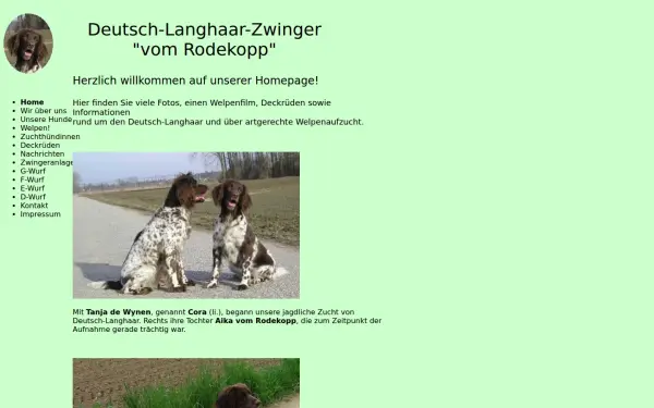 deutsch-langhaar-vom-rodekopp.de