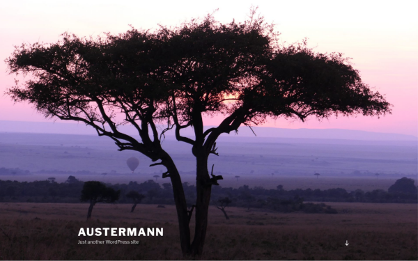austermann-ms.de