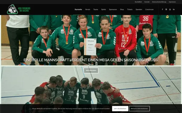 www.hsg-freiberg.de
