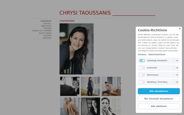 www.chrysi.de