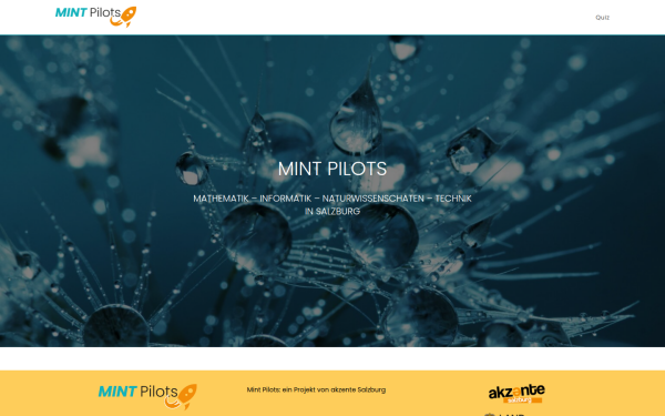 mint-pilots.at