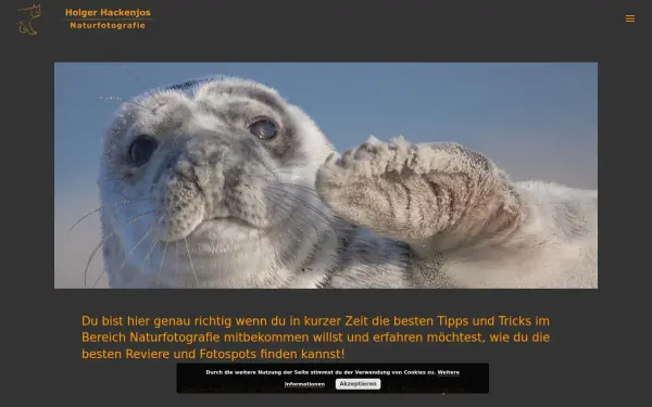 www.holger-hackenjos.com