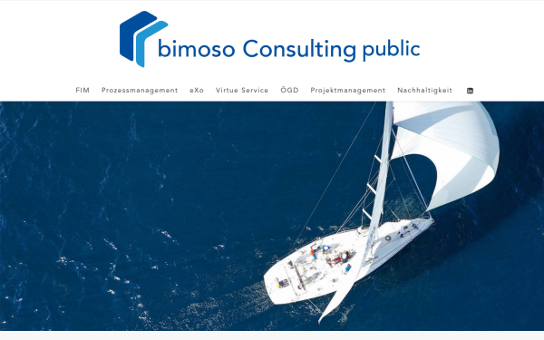 bimoso-consulting.de