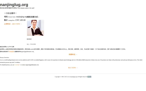 nanjinglug.org