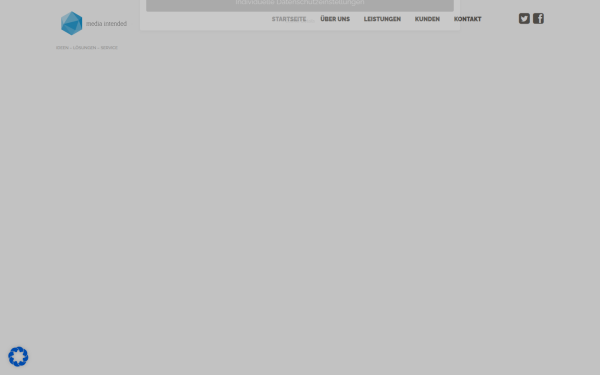 media-intended.de